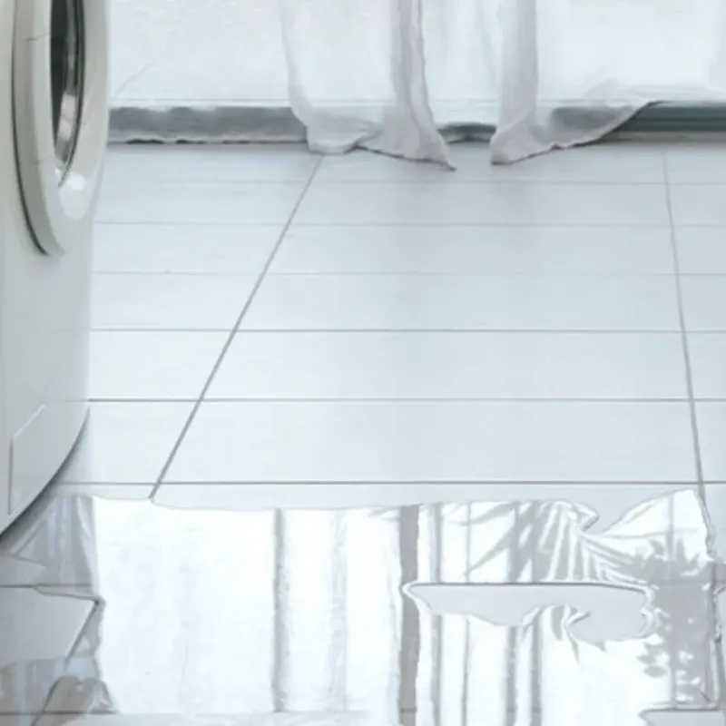 Appliance Leak Cleanup in Ironwood, MI