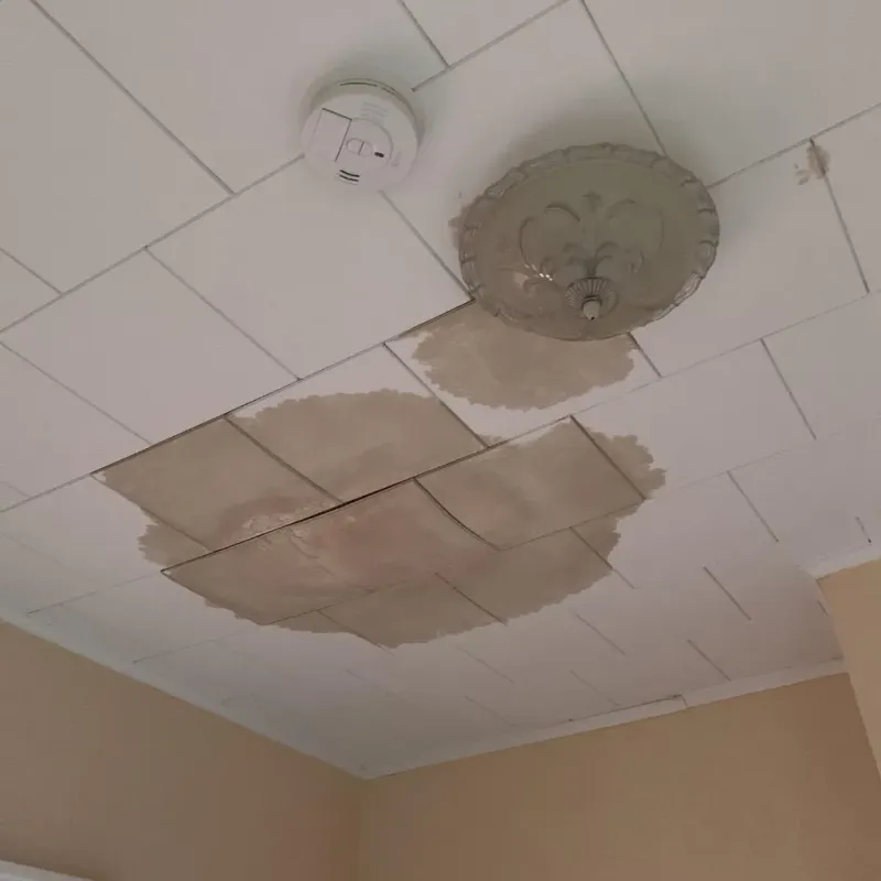 Ceiling Water Damage Repair in Ironwood, MI