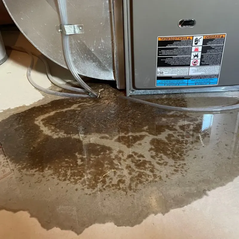 Pipe Burst and Leak Restoration in Ironwood, MI